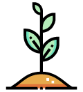 Growth Icon